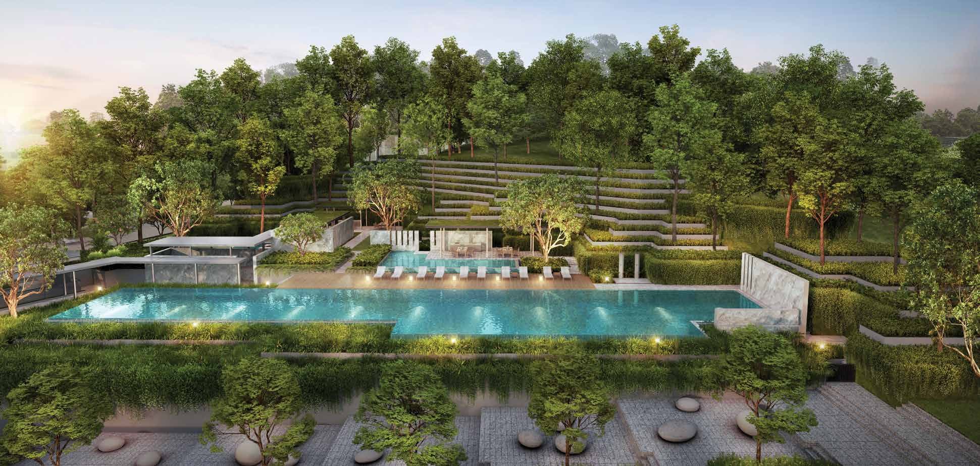 Terraces and pool